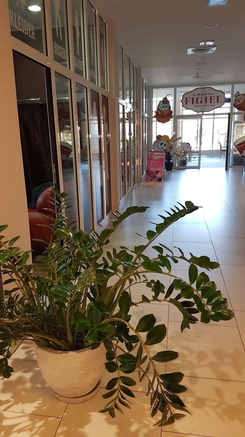 Apartamenty Diva Kołobrzeg Esterno foto